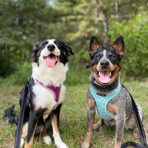 Me!! 💁🏻‍♀️🌸✨🦈 - Picture 13 of 16